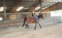 Covered Riding Arena  by Lockewood Stables