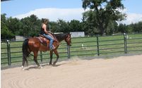 2 Round Pens by Lockewood Stables