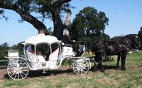Cinderella Carriage available for Rent by Lockewood Stables