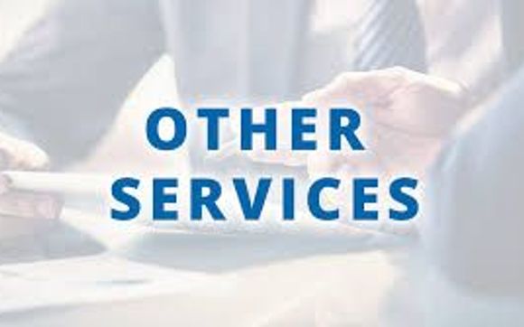 Other Services by Apogee Accounting Solutions, LLC