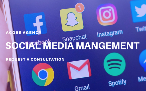 Social Media Management by We Launch Ads