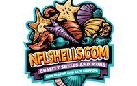 Dried Sea Items by nflshells.com