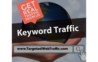 Buy Organic Traffic by TargetedWebTraffic.com