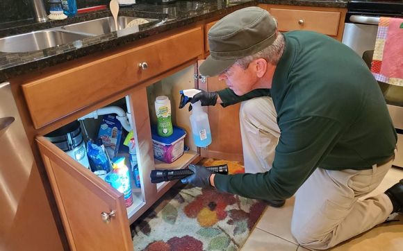 Pest control & termites by Green Behr Pest Control & Termites