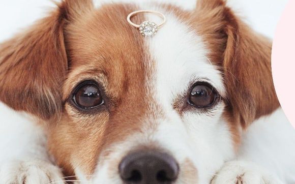 Jewelry by Rogers Enterprises, Inc.