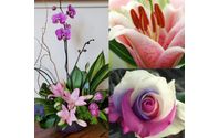 Fresh flower delivery by Shananne Cain Florist Inc