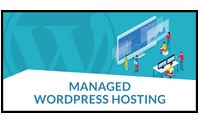 WordPress Managed Website Hosting by On Budget Services