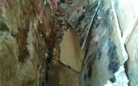 Mold Remediation by Clean Rite Cleaning and Restoration