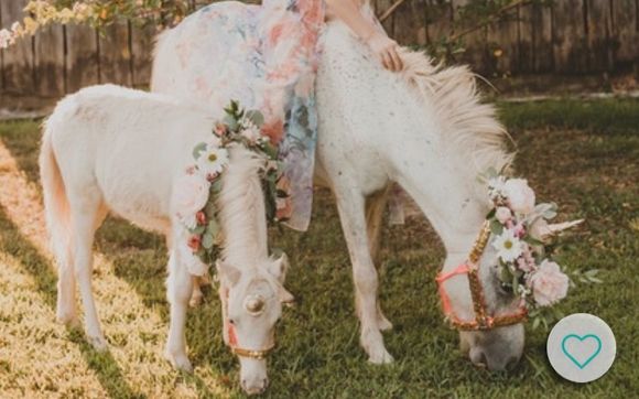 Unicorn Party by The Little Country Farm & Mobile Petting Zoo/Pony Rides