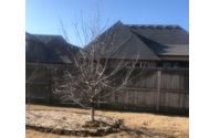 Tree Service  by Davis Family Arbor Services LLC