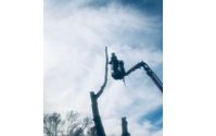 Tree Removal by Davis Family Arbor Services LLC