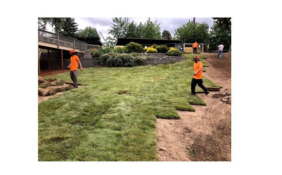 landscape by TK Landscape and Lawn Service LLC