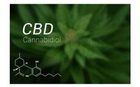 SUPER CBD SALE by Scizzortail