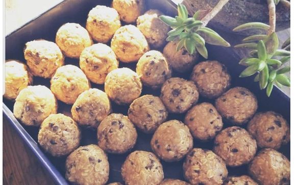 Peanut Butter Protein Bites by Juva