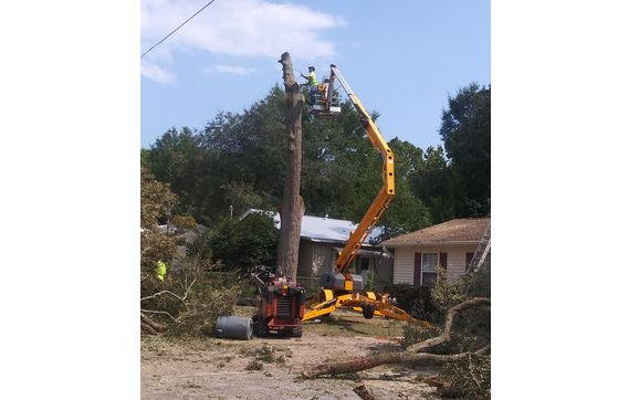 Tree removal  by Anderson tree and lawn care llc