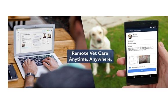 TeleVet Healthcare Services by SouthPaw Animal Hospital in Middle Township,  NJ - Alignable