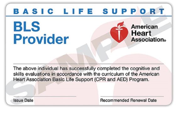 Basic Life Support Bls Cpr By Cpr Alaska In Eagle River Ak Alignable