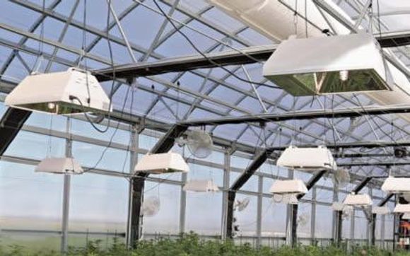 Design and engineering services for Grow Facilities and Dispensaries by MEEE Design Services