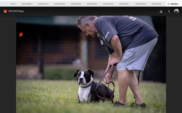 Terry cook dog store trainer