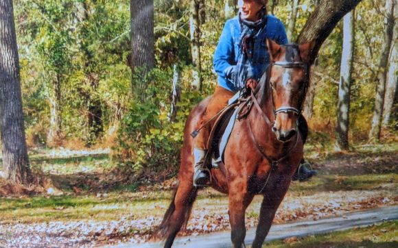content writing, editing, and beautiful ways to carry your stuff! by Windhorse