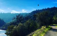 Walk and Talk Therapy by Earthwalker Wildeness Survival and Therapeutic Adventures