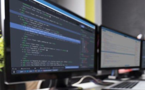 Professional Website Design & Development by Muletown Digital
