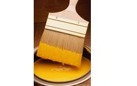 To Repair or Not to Repair - Selling dilemma by Upper Cape Realty Corp.