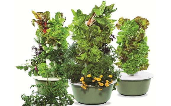 Tower Garden FLEX by Juice Plus+ Independent Consultant
