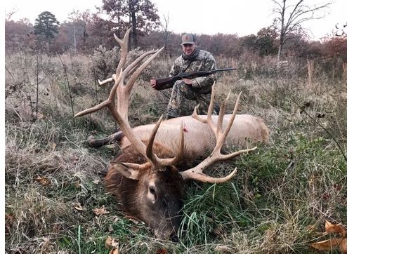 Trophy Elk by Hunt Mill Hollow Ranch