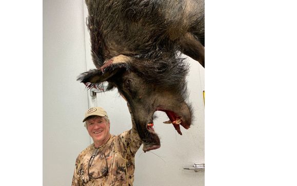 Wild Boar Hunting by Hunt Mill Hollow Ranch