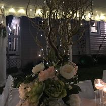 Backyard tent wedding  by Ambiance Created LLC
