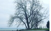 Dreams - What Do They Mean? by Spiritual Director & Supervisor