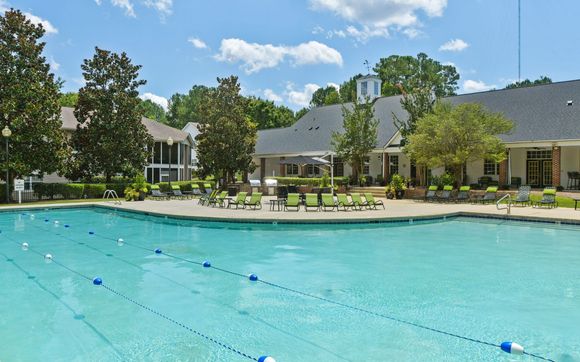 Salt Water Swimming Pool by Avalon Peaks in Apex, NC - Alignable