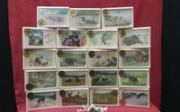 Collectible Taffy Boxes by Maine Line Products