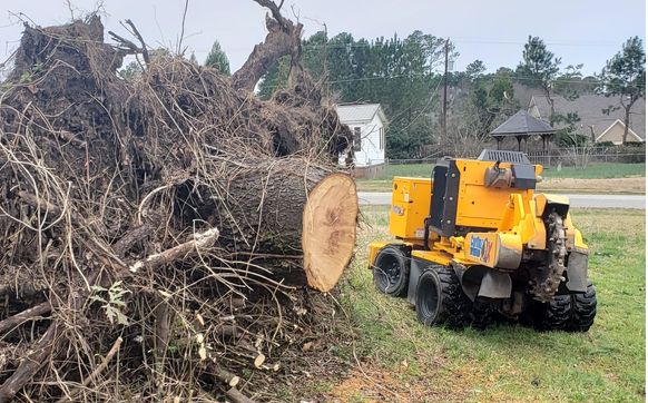Stump grinding services  by Stump Boss LLC