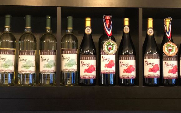 Winery  by Chiselled Grape Winery