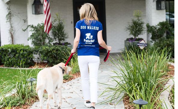 Fetch! Private Midday Dog Walking by Fetch! Pet Care