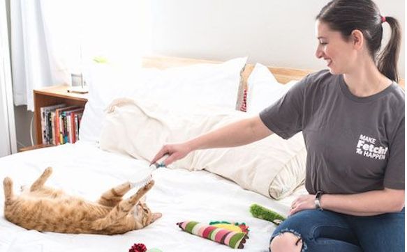 Fetch! Cat and Small Pet Sitting by Fetch! Pet Care