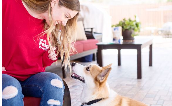 Fetch! Full & Partial Overnight Pet Sitting by Fetch! Pet Care