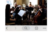 Live String Quartet/ Trio/ Duo/ Solo music/ Piano/Vocals/ Guitar/ Flute and combos by Viva la Strings