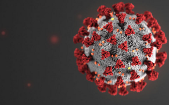 COVID 19 Antibody Blood Testing by Paramex Screening Services
