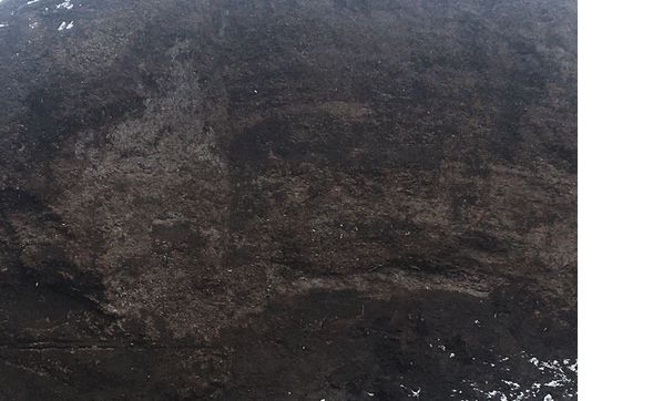 Triple mix soil by Crestview Garden Centre