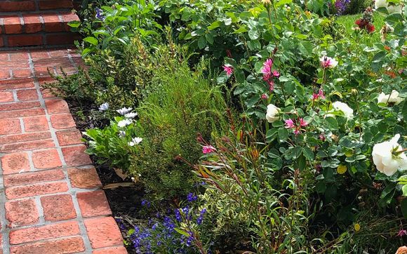 All bout the flowers!  by Virgo Designs and Landscaping