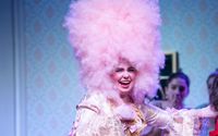 Happy Singing Telegrams by Boulder Opera Company
