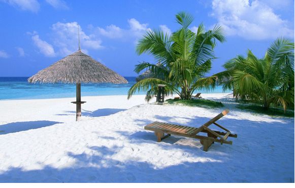 Real Estate Broker by Austin Realty