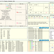 Natal Vedic Birth Chart Reading by Vedic Counsel Inc.
