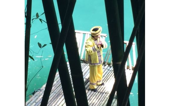 Tours & Sightseeing by The Travel Center Inc