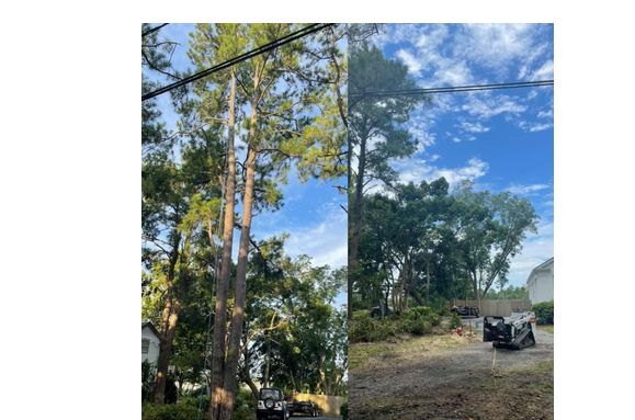 Tree Removal by Lights Out Landscaping and Lawn Care
