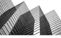 Power of Perspective by Linda Rouseau - Mind Surgeon™, Freedom Is Mine
