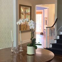 New Home Design by Isabel Designs